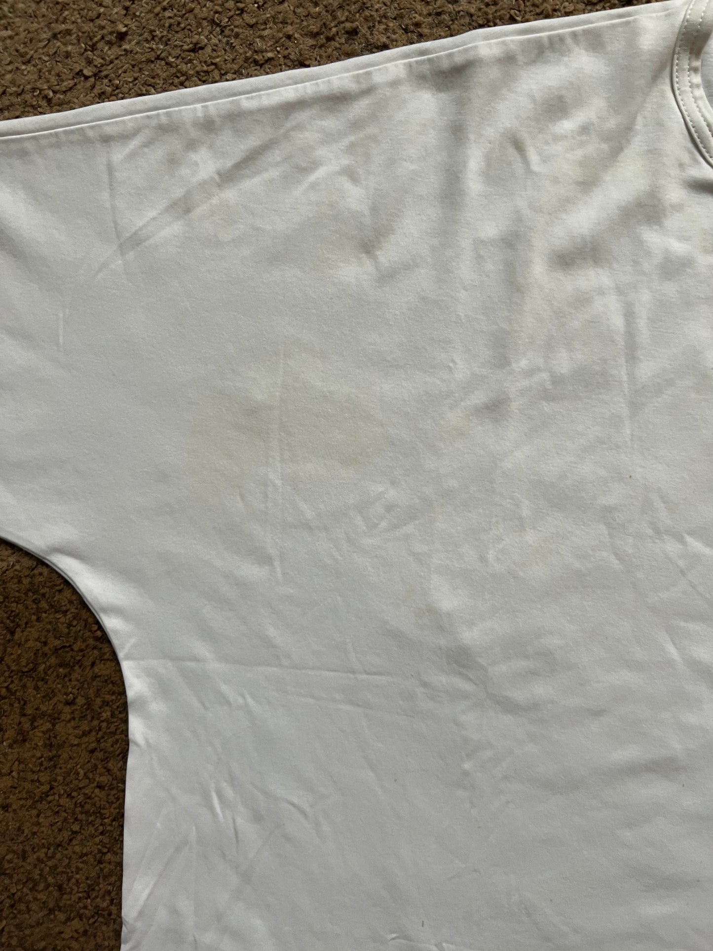 Junya Watanabe x Comme Des Garcons Shirt (M)