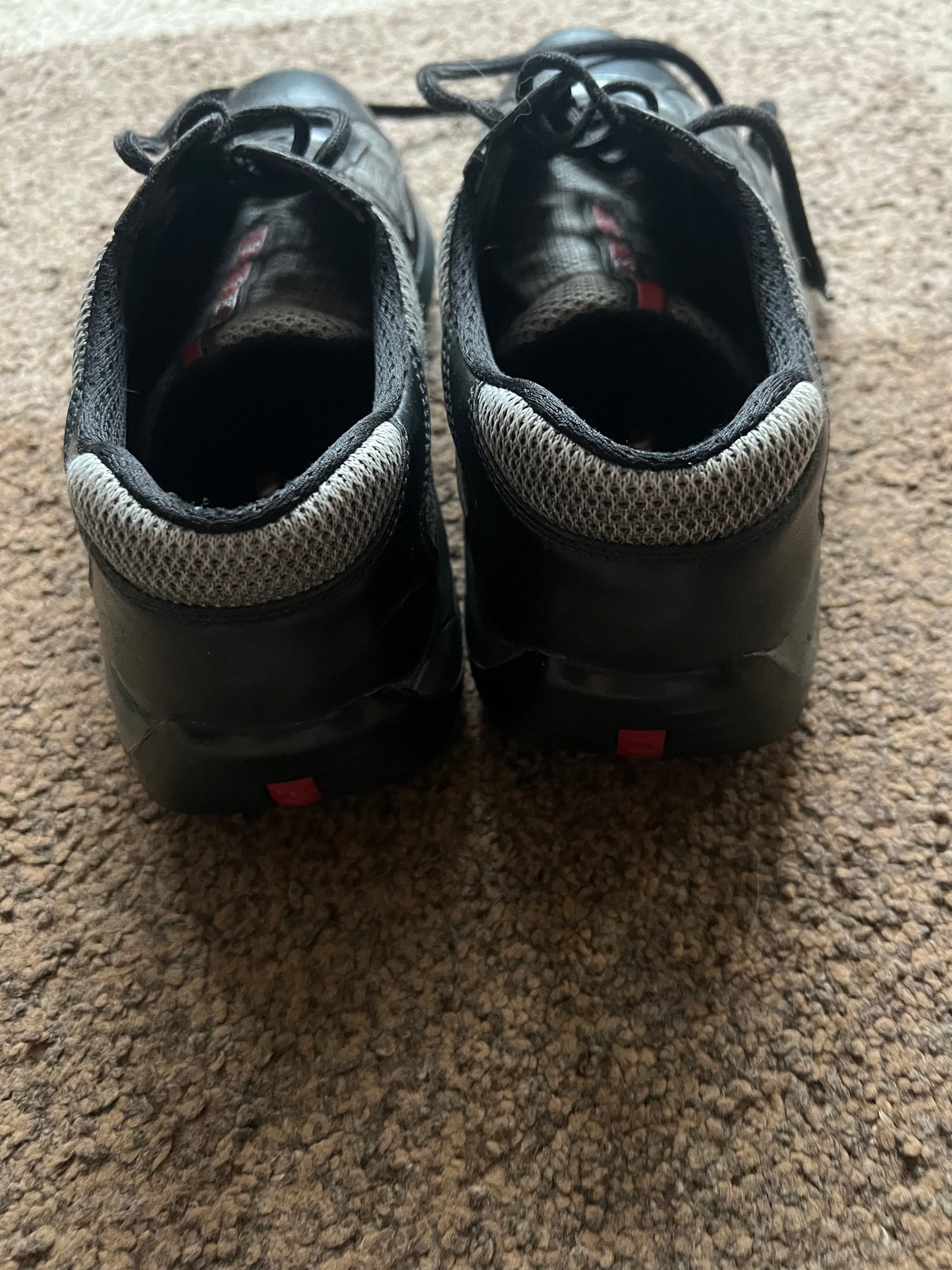Prada Cups (40.5)