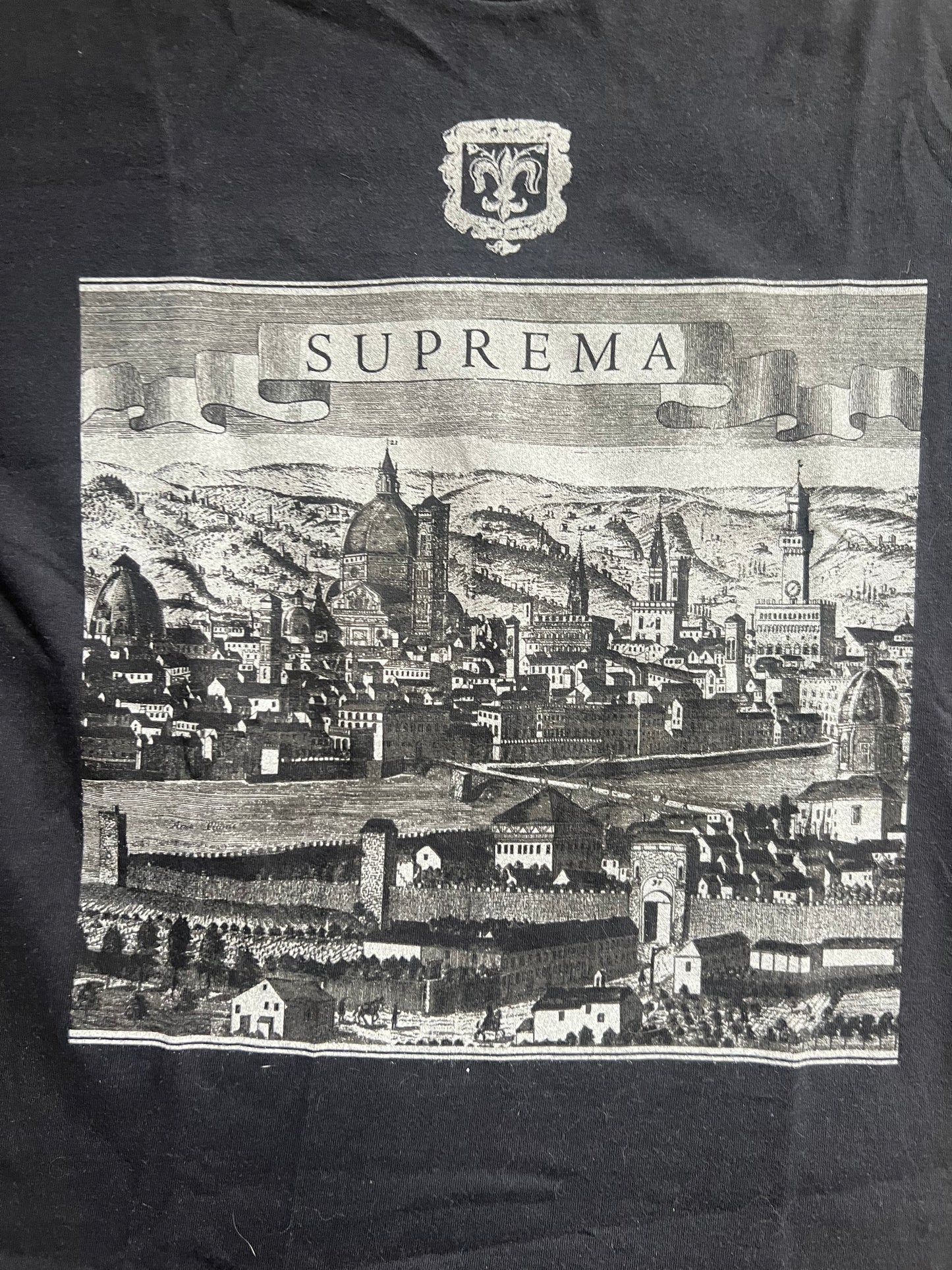 Supreme T-Shirt (L)