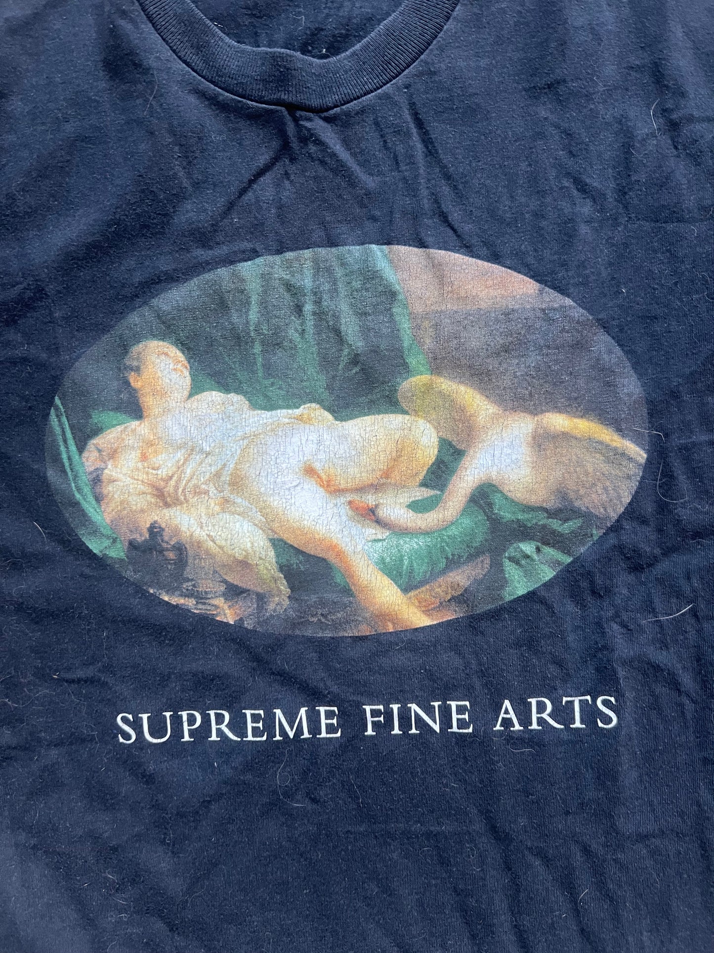 Supreme T-Shirt (M)