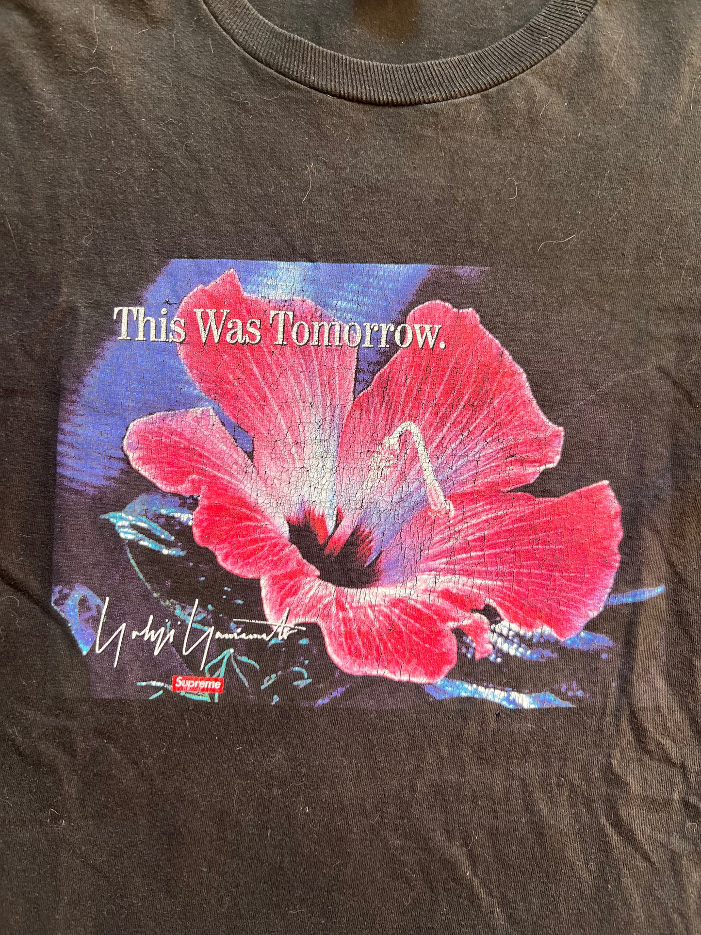 Supreme x Yohji Yamamoto T-Shirt (M)