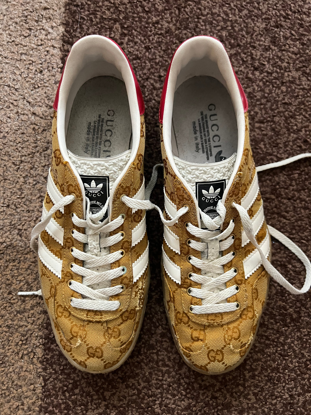 Gucci x Adidas Gazelle