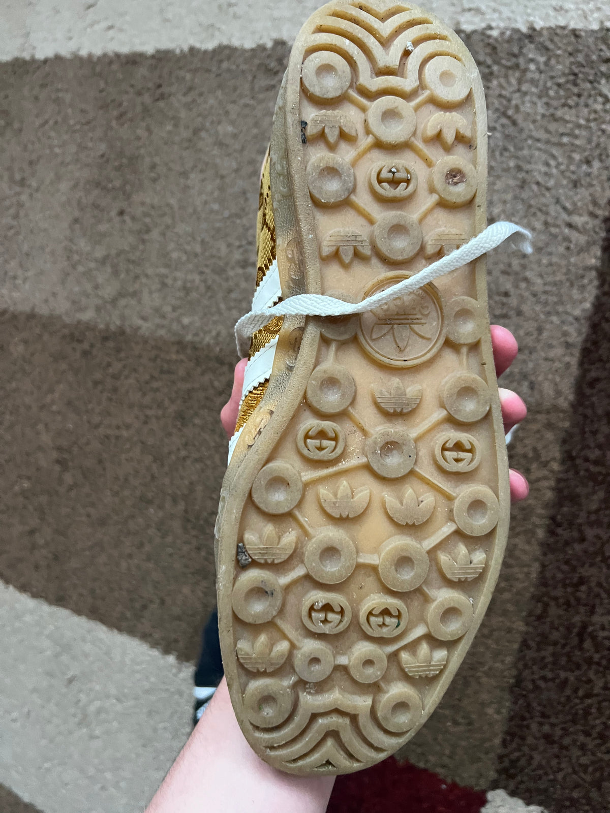 Gucci x Adidas Gazelle