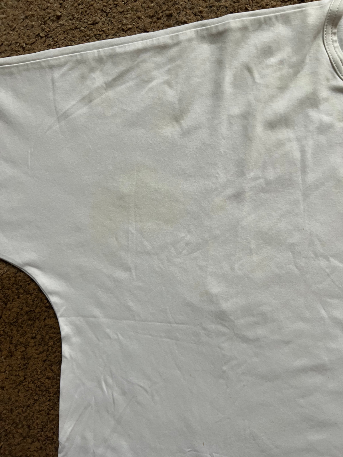 Junya Watanabe x Comme Des Garcons Shirt (M)