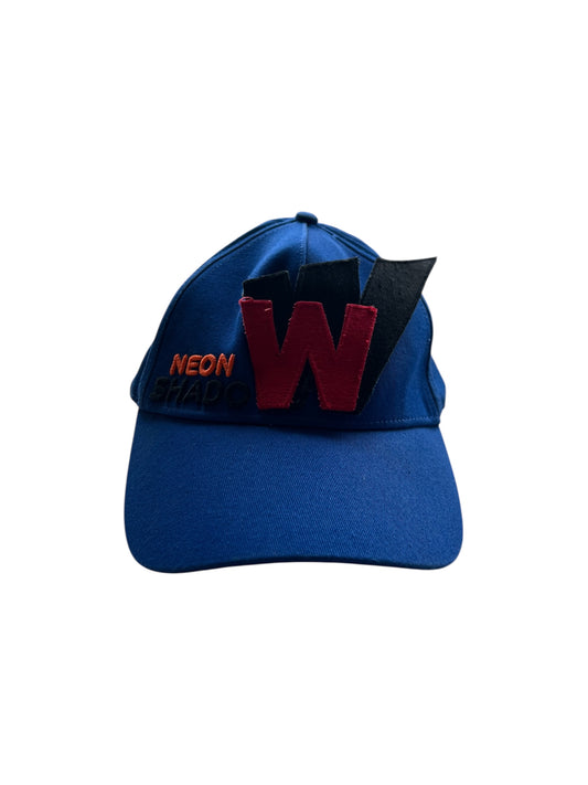 Walter van Beirendonck Cap